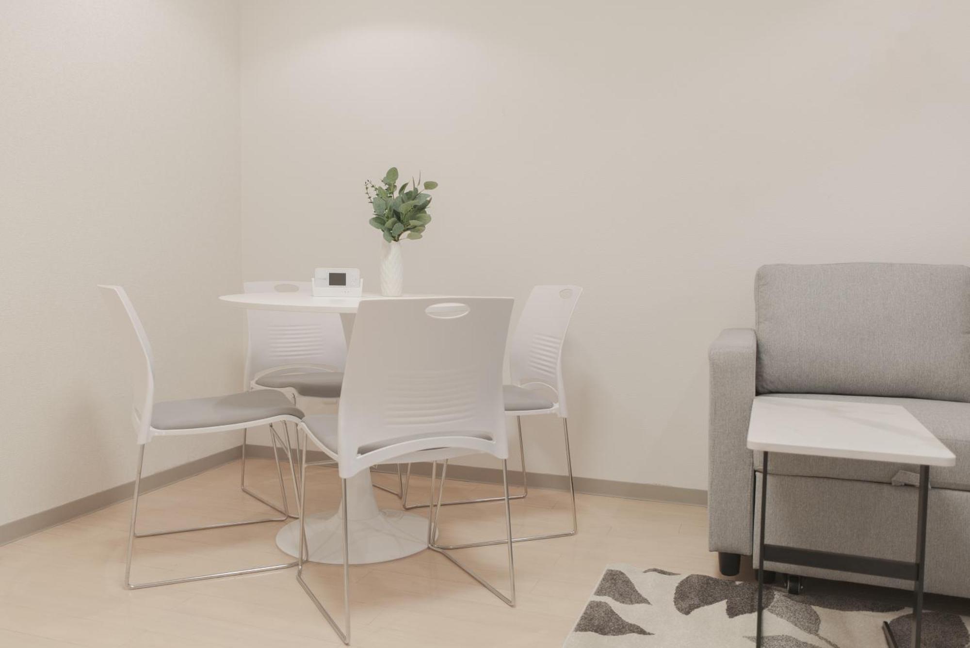 1 Minute From Higashi-shinjuku Station Large Living